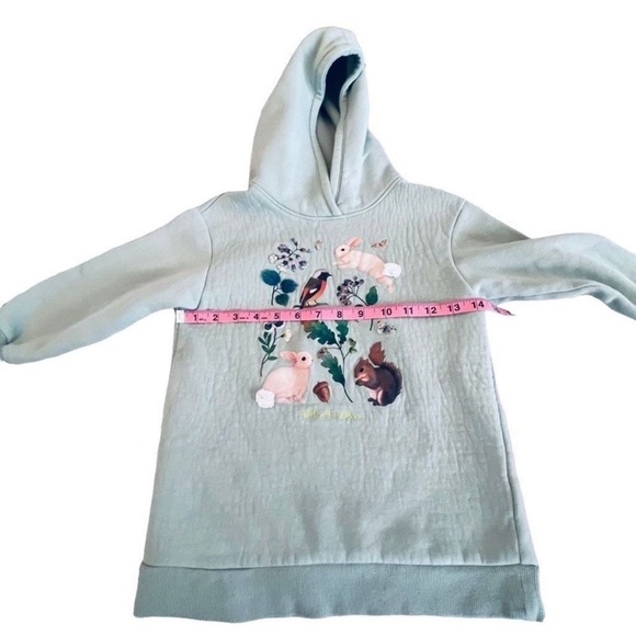 Whooli Chen x H&M Girl’s Mint Green Bunnies Woodland Hoodie Size 5T/6 - Picture 2 of 11